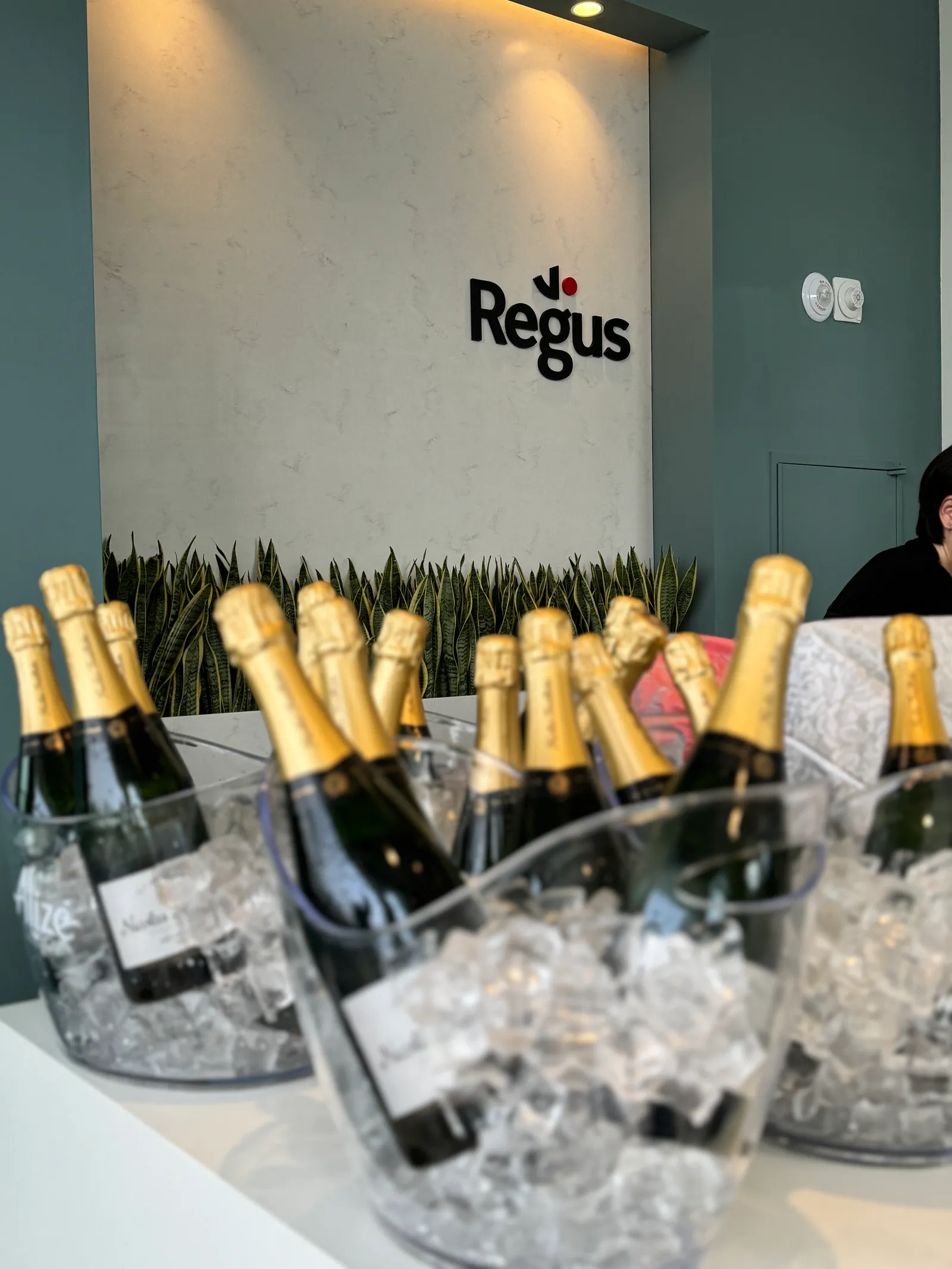 7층 리셉션 Regus 로고월 앞, 얼음 버킷에 담긴 샴페인 병들